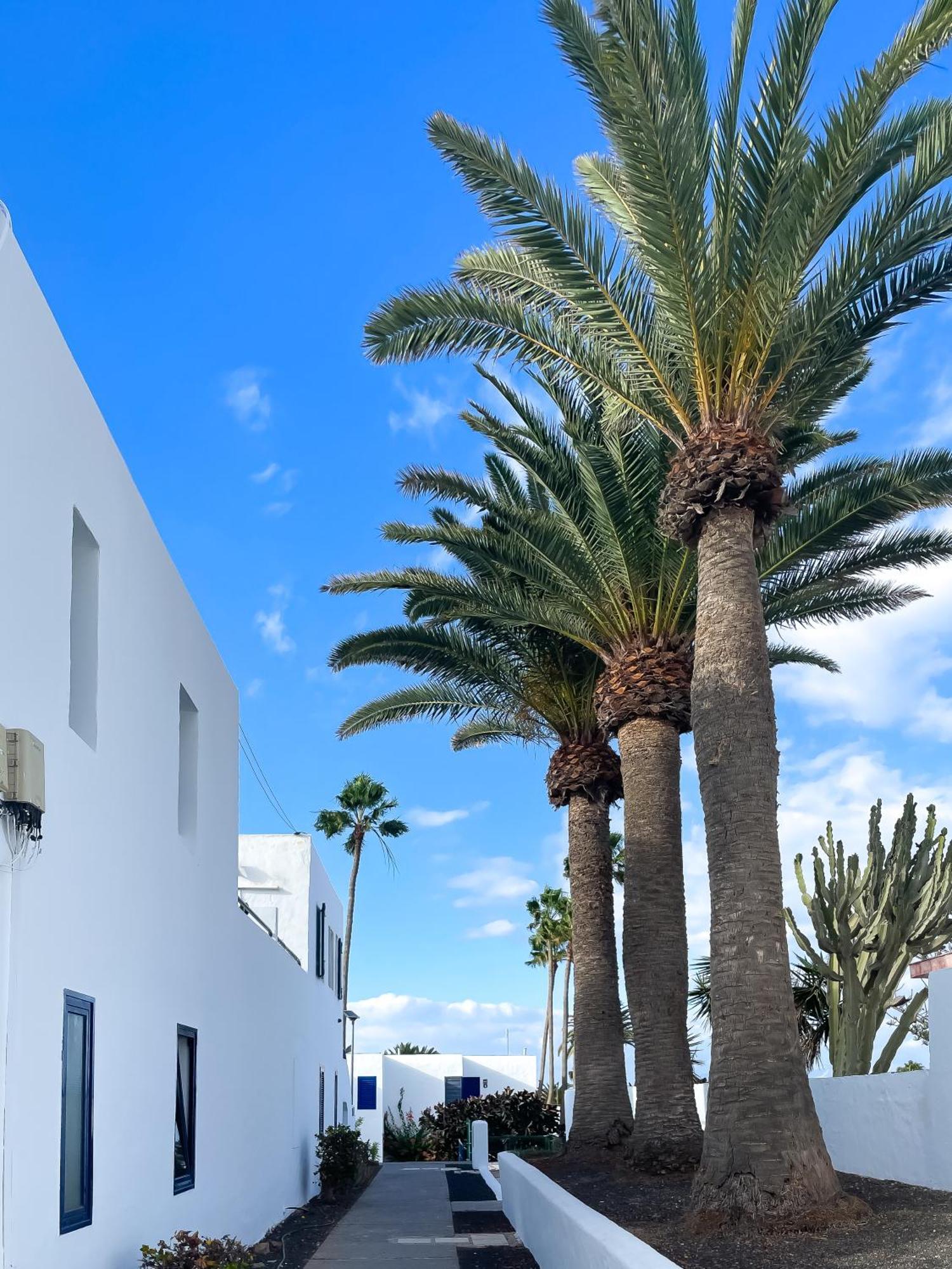 Barqueros Beach By Best Holidays Fuerteventura Corralejo Eksteriør bilde